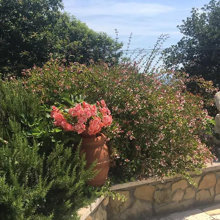 Podere Belvedere - With Private Swimming-pool By Charming Italy Tour Villa Carmignano